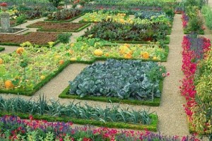 flower-garden-design-app